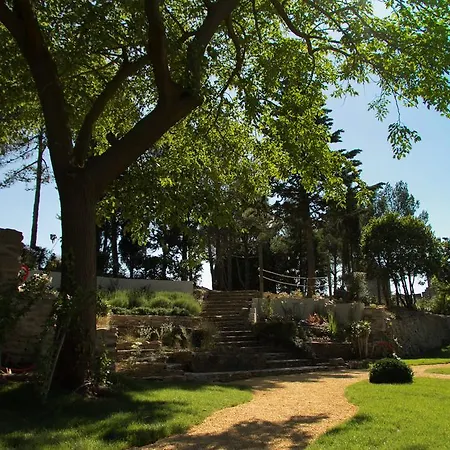 Hotel Pont Levis - Franck Putelat Carcassonne